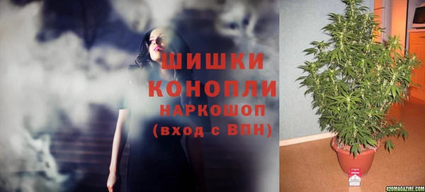 каннабис Бородино